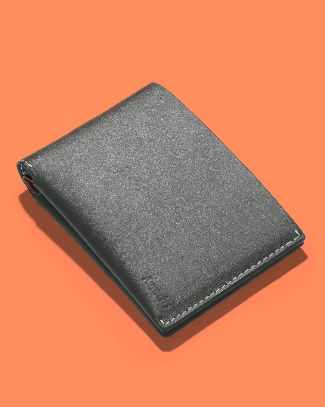 Orbit - Passport Wallet - Aurochs