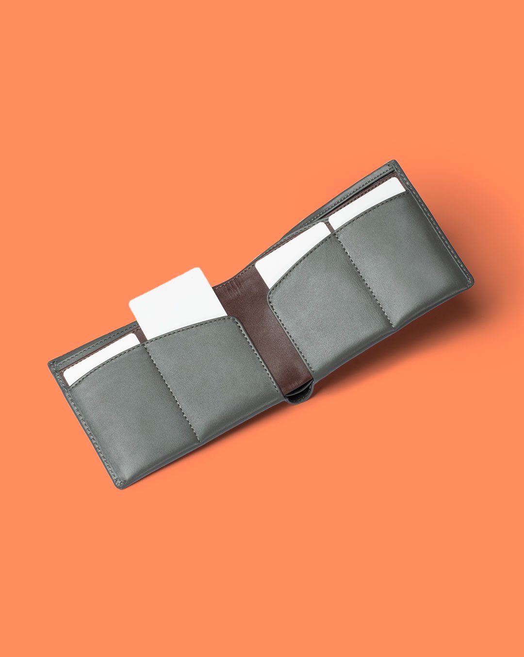 Orbit - Passport Wallet - Aurochs