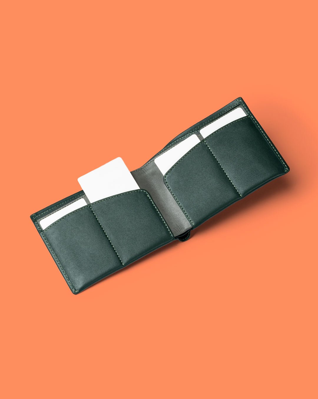 Orbit - Passport Wallet - Aurochs