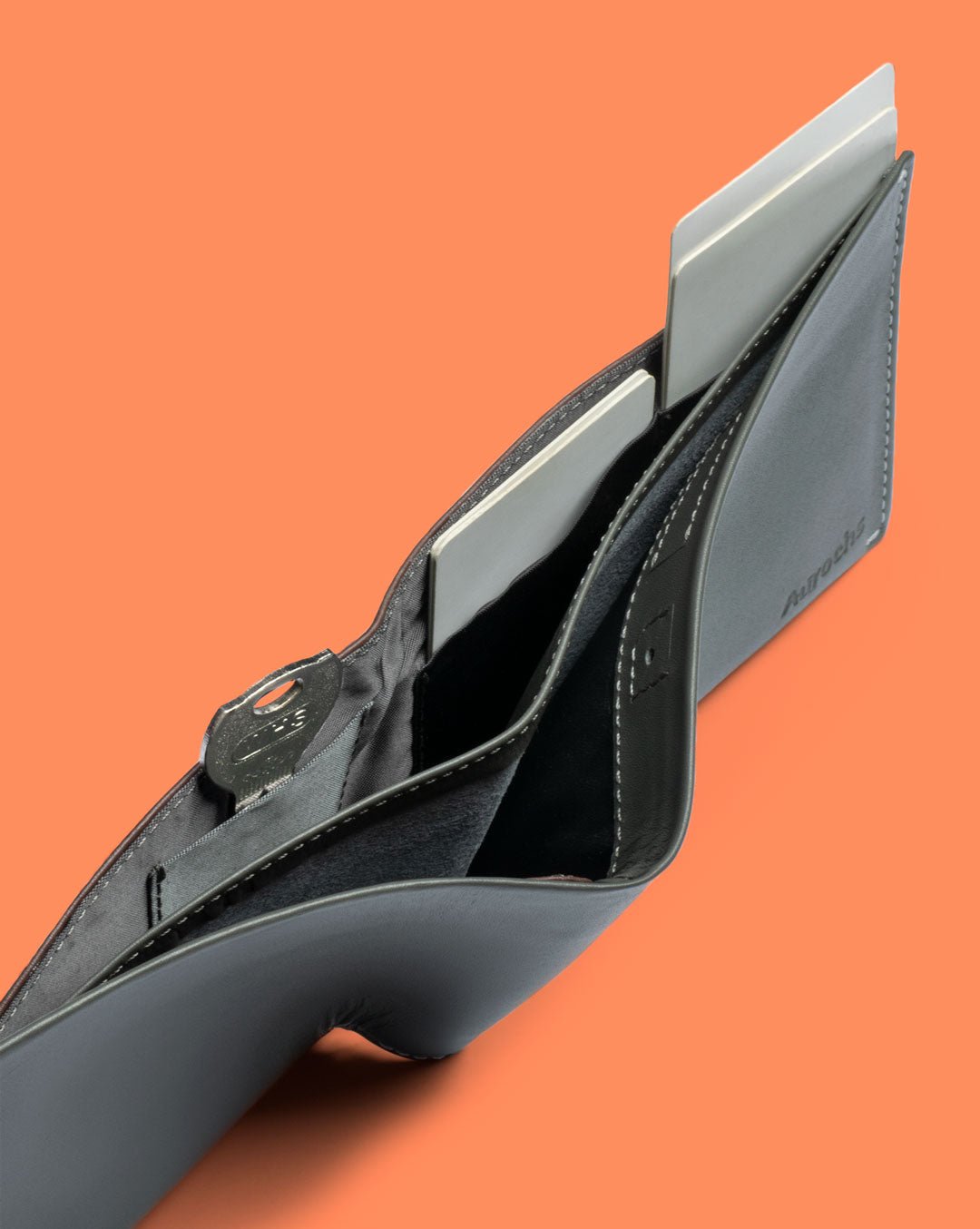 Orbit - Passport Wallet - Aurochs