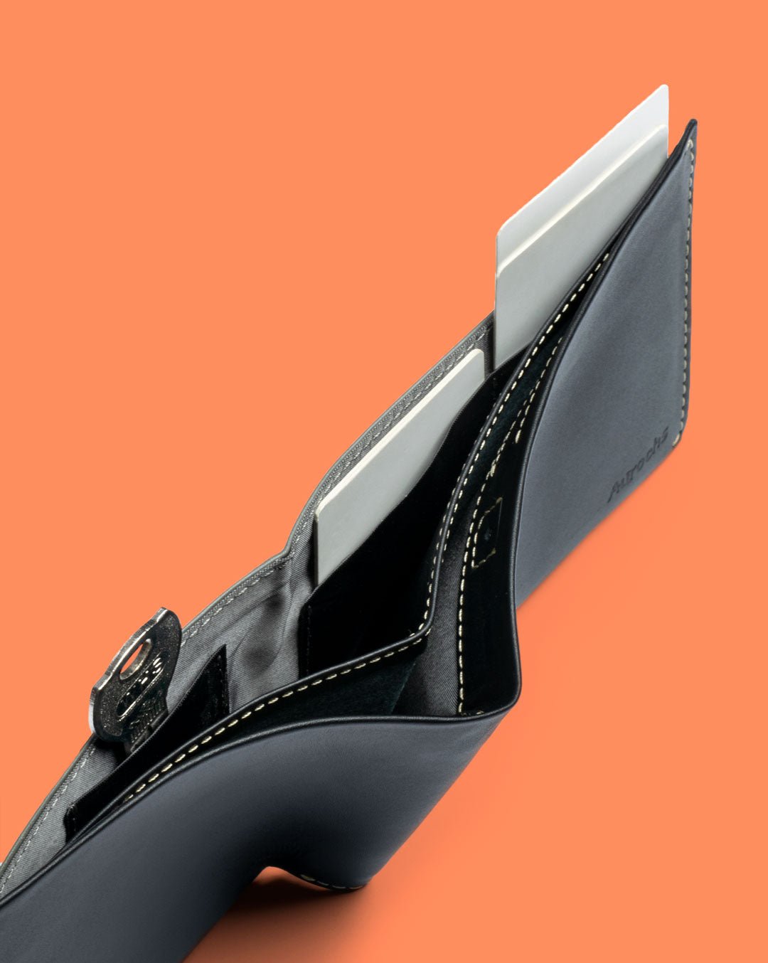 Orbit - Passport Wallet - Aurochs