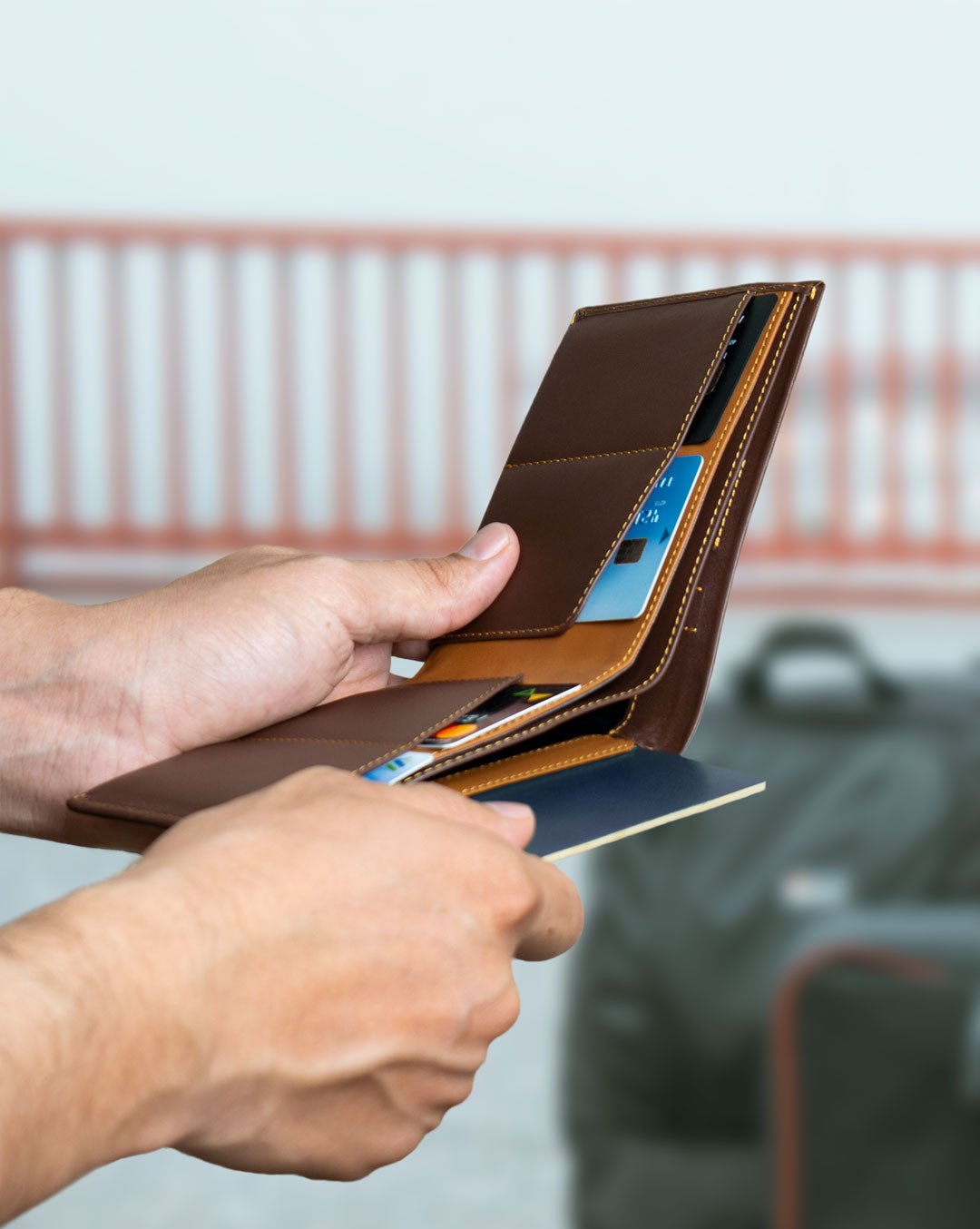 Orbit - Passport Wallet - Aurochs