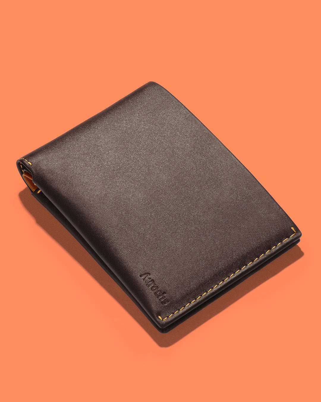 Orbit - Passport Wallet - Aurochs