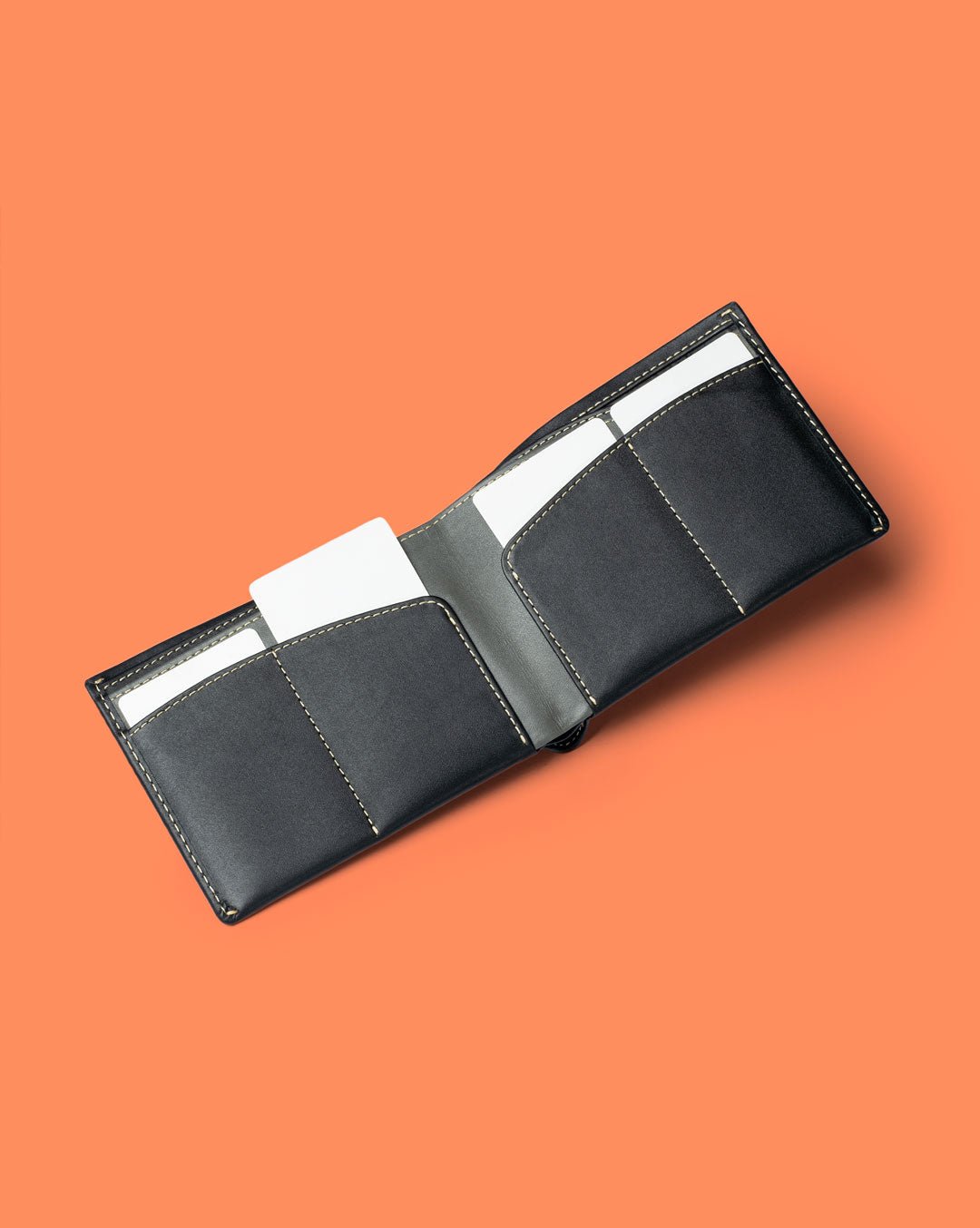 Orbit - Passport Wallet - Aurochs